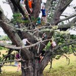 Folkehøgskoleklasse på studietur må ta klassebilde i trær
